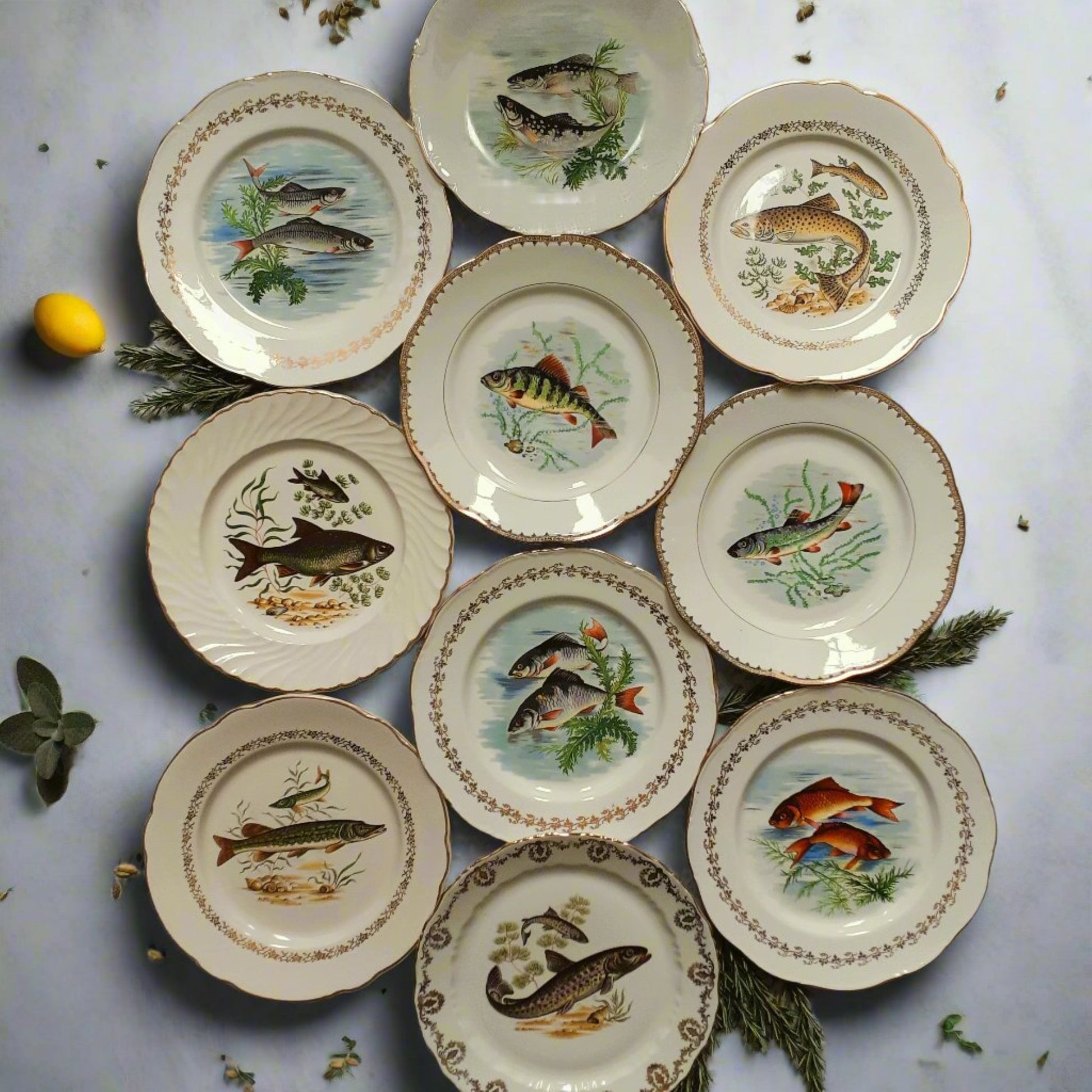 TEN Mix and Match Vintage Fish Plates from Tiggy and Pip - Just €240! Shop now at Tiggy and Pip