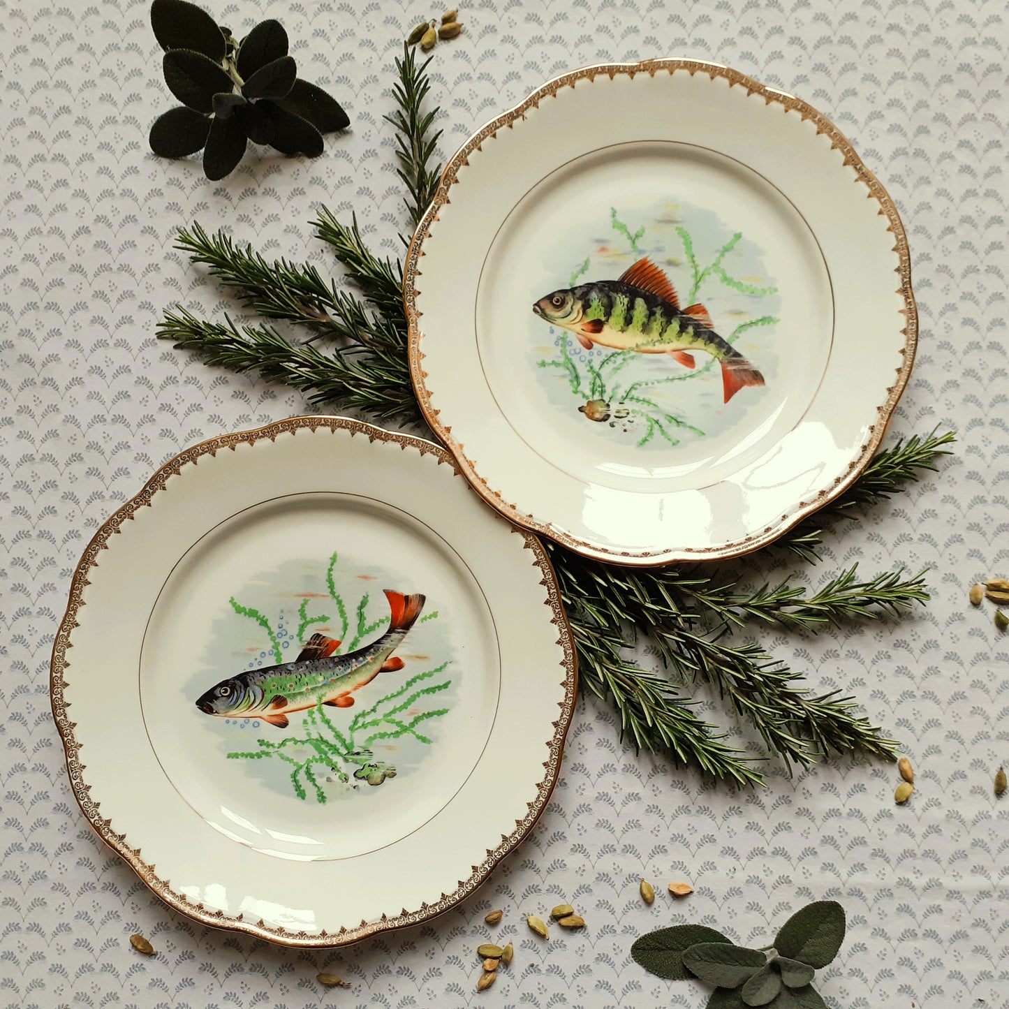 TEN Mix and Match Vintage Fish Plates from Tiggy and Pip - Just €240! Shop now at Tiggy and Pip