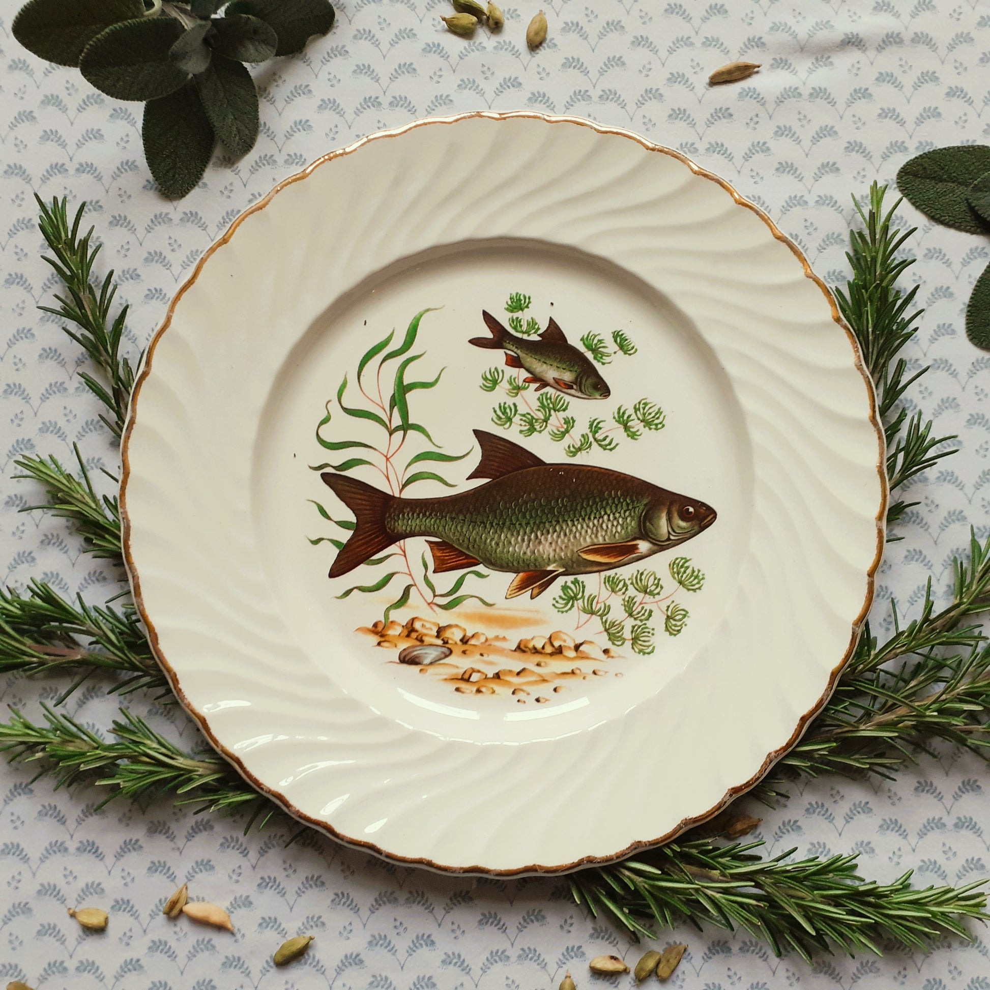 TEN Mix and Match Vintage Fish Plates from Tiggy and Pip - Just €240! Shop now at Tiggy and Pip