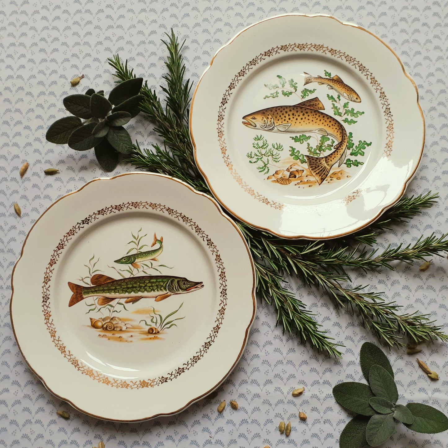 TEN Mix and Match Vintage Fish Plates from Tiggy and Pip - Just €240! Shop now at Tiggy and Pip