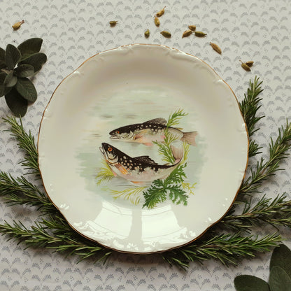 TEN Mix and Match Vintage Fish Plates from Tiggy and Pip - Just €240! Shop now at Tiggy and Pip