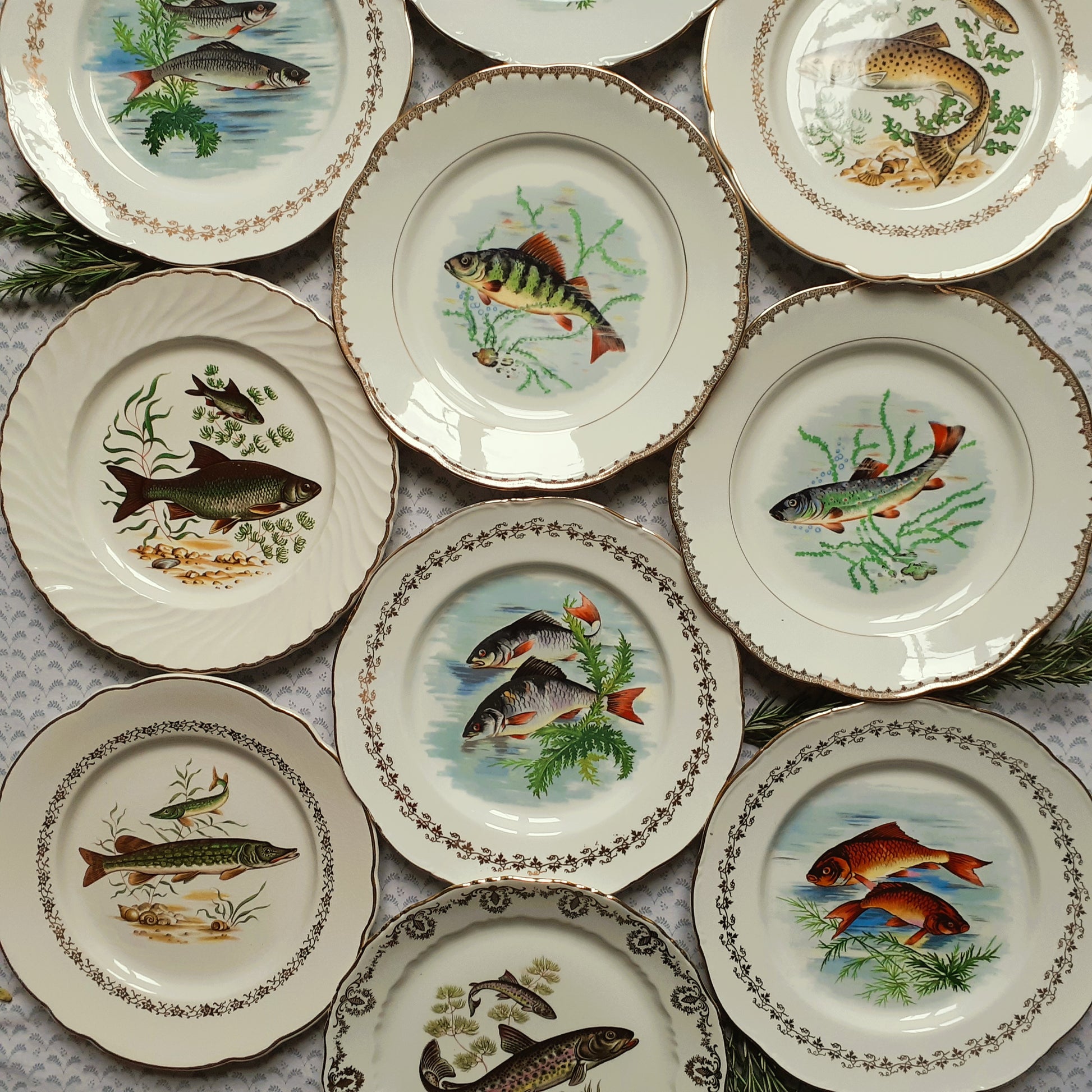 TEN Mix and Match Vintage Fish Plates from Tiggy and Pip - Just €240! Shop now at Tiggy and Pip