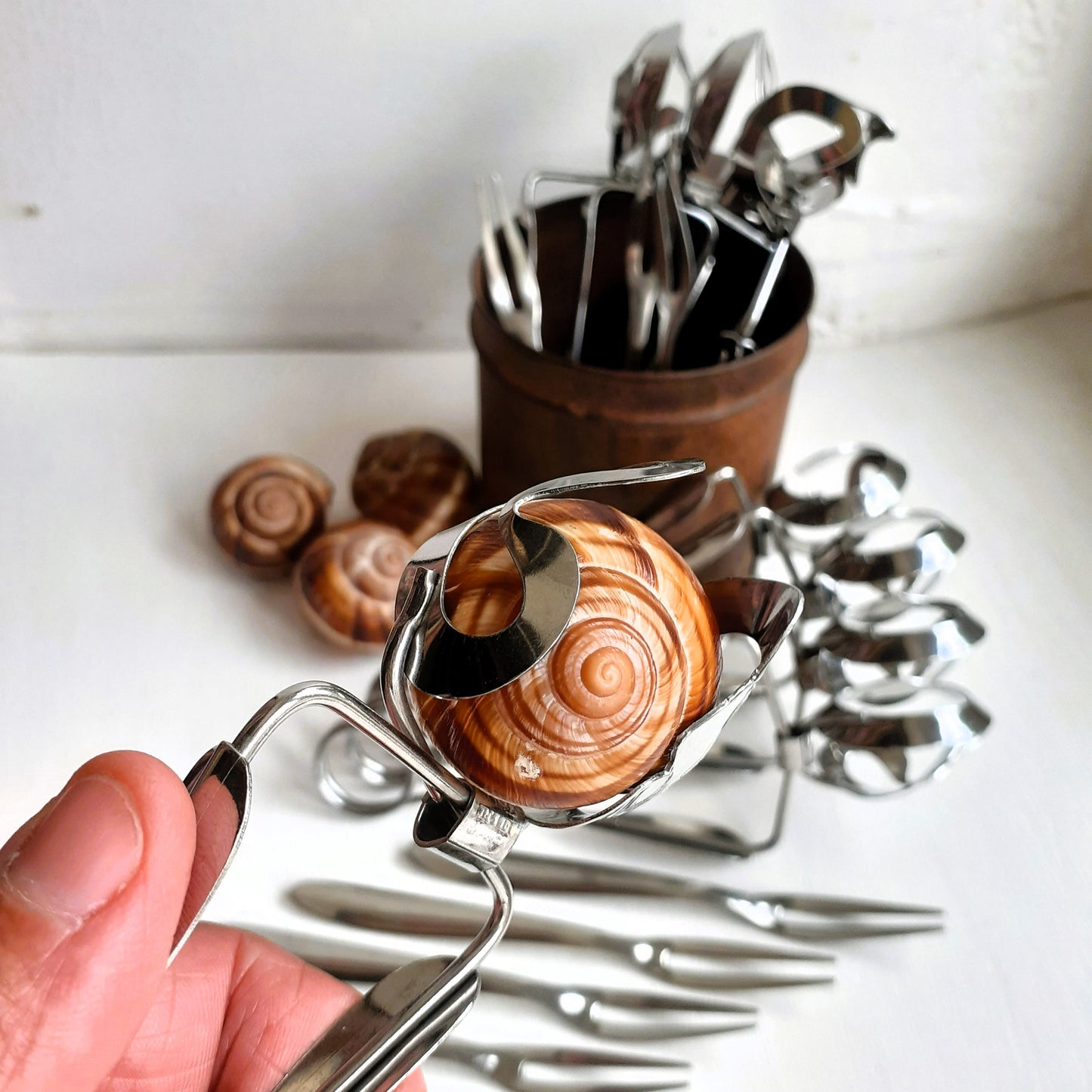 16 Piece Escargot Cutlery Set. Escargot Tongs and Forks from Tiggy & Pip - Just €120! Shop now at Tiggy and Pip