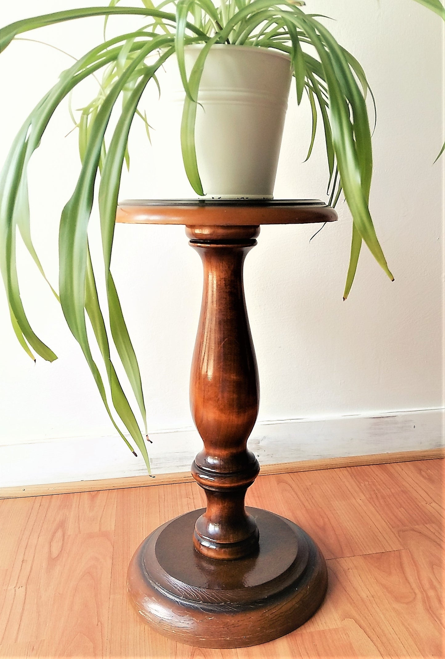 Polished Wood Pedestal Plant Stand from Tiggy & Pip - Just €149! Shop now at Tiggy and Pip