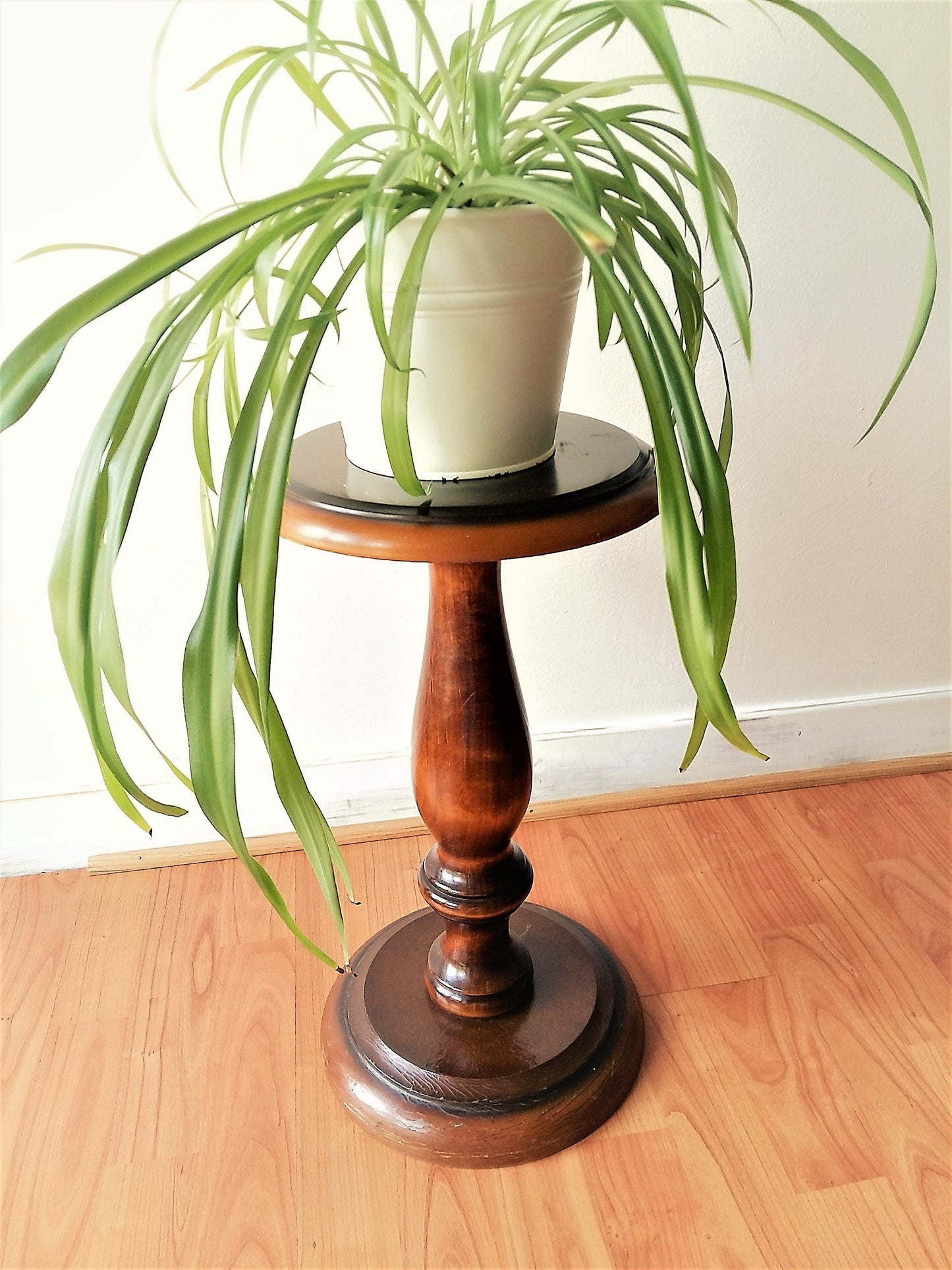 Polished Wood Pedestal Plant Stand from Tiggy & Pip - Just €149! Shop now at Tiggy and Pip