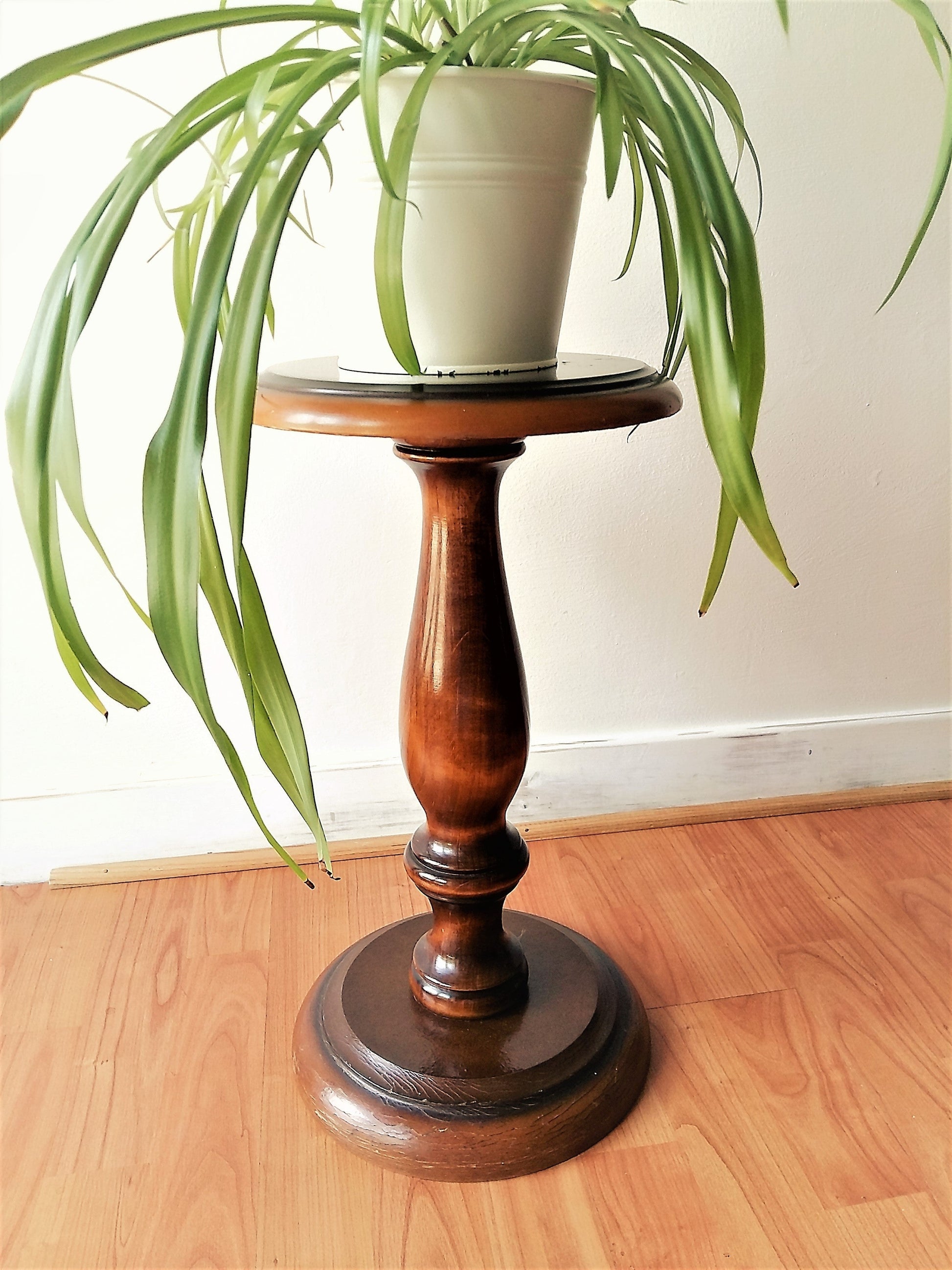 Polished Wood Pedestal Plant Stand from Tiggy & Pip - Just €149! Shop now at Tiggy and Pip