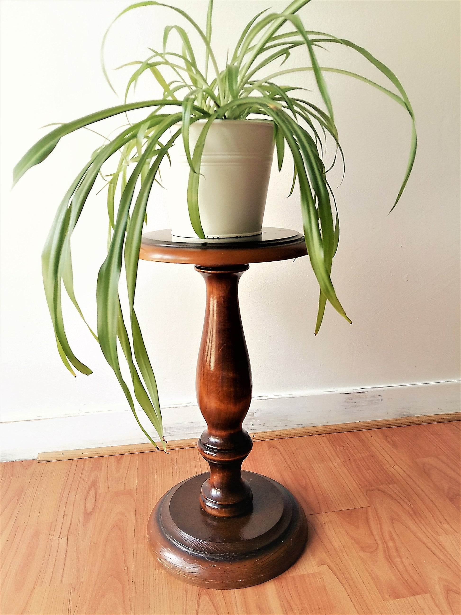 Polished Wood Pedestal Plant Stand from Tiggy & Pip - Just €149! Shop now at Tiggy and Pip