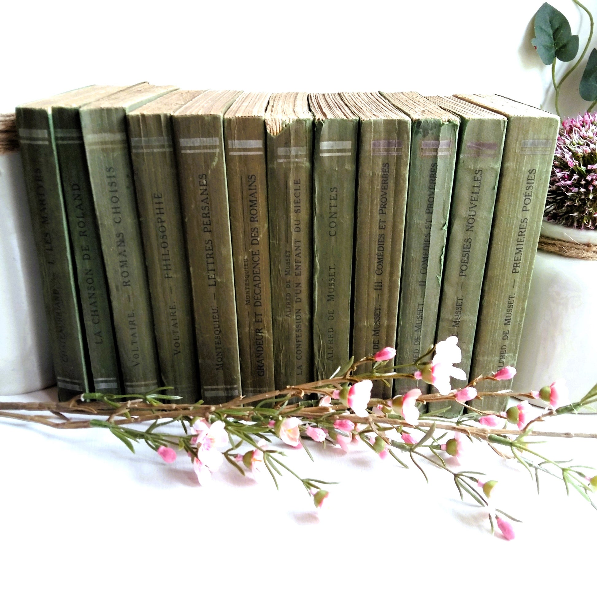 Green Book Stack of Classic French Literature from Tiggy & Pip - Just €180! Shop now at Tiggy and Pip