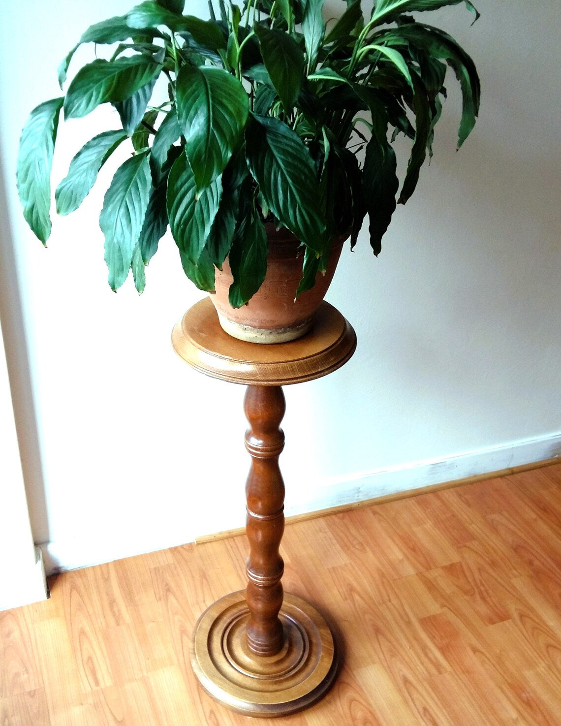 Wooden Pedestal Plant Stand from Tiggy & Pip - Just €220! Shop now at Tiggy and Pip