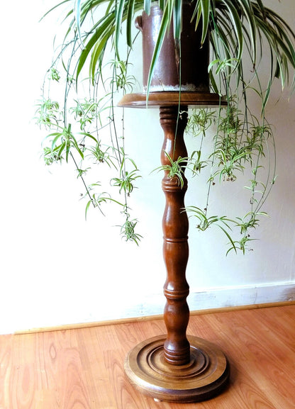 Wooden Pedestal Plant Stand from Tiggy & Pip - Just €220! Shop now at Tiggy and Pip