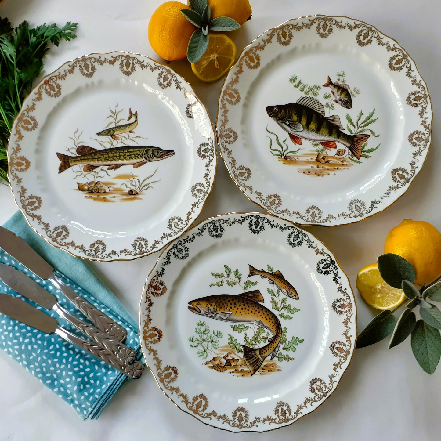 8 Mix and Match Fish Plates from Tiggy & Pip - Just €199! Shop now at Tiggy and Pip