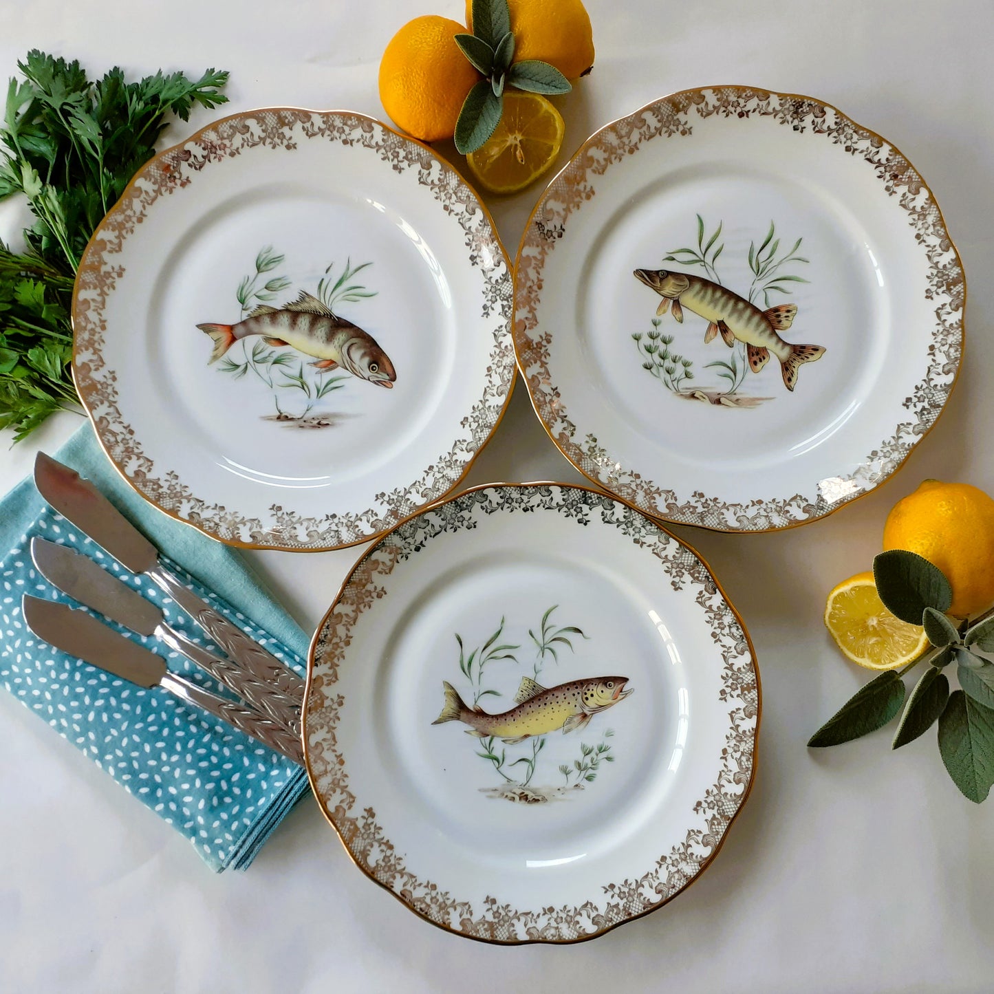 8 Mix and Match Fish Plates from Tiggy & Pip - Just €199! Shop now at Tiggy and Pip