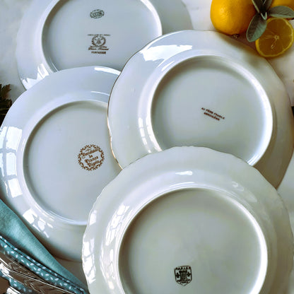 8 Mix and Match Fish Plates from Tiggy & Pip - Just €199! Shop now at Tiggy and Pip