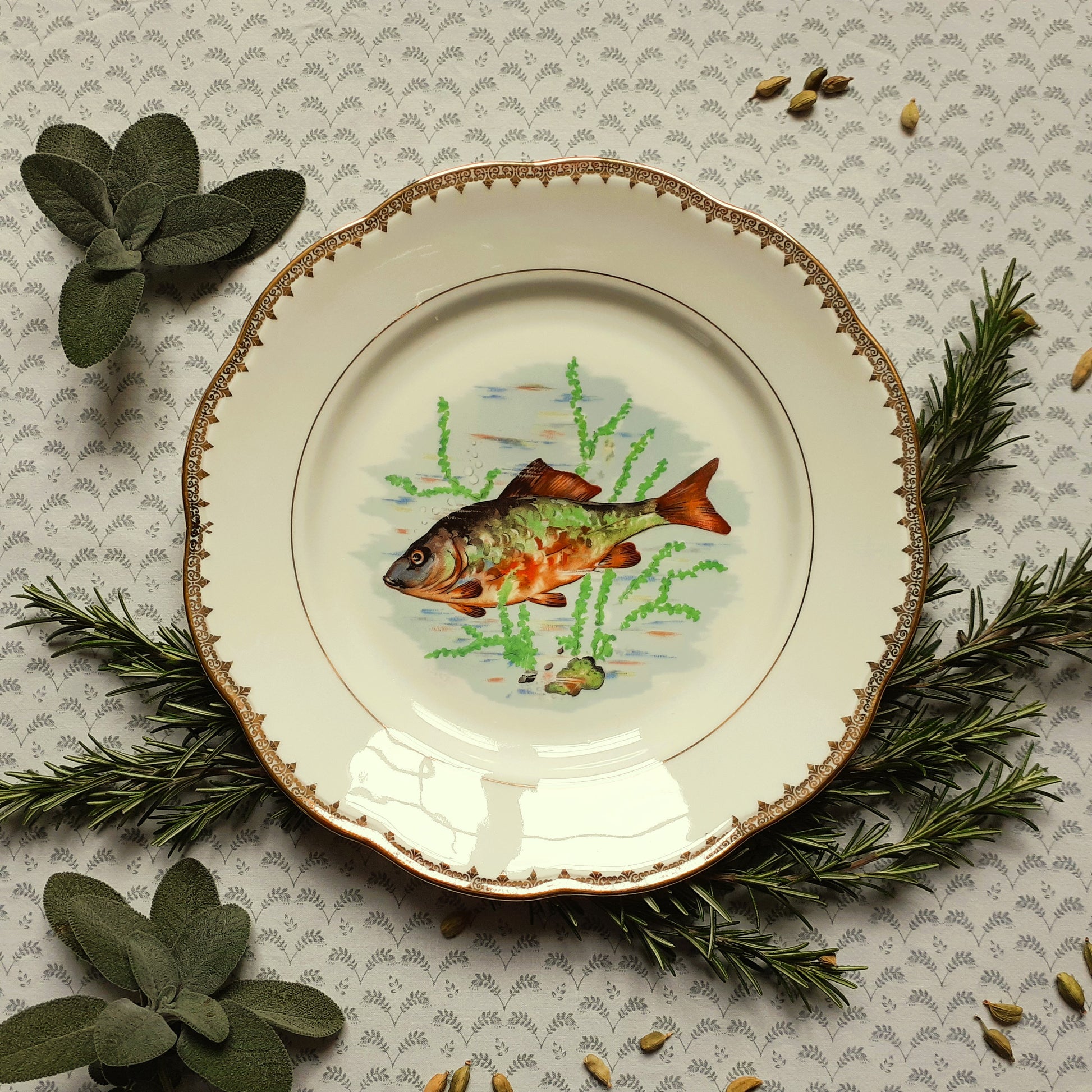 Eight Mix and Match Vintage Fish Plates from Tiggy and Pip - Just €199! Shop now at Tiggy and Pip