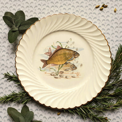 Eight Mix and Match Vintage Fish Plates from Tiggy and Pip - Just €199! Shop now at Tiggy and Pip