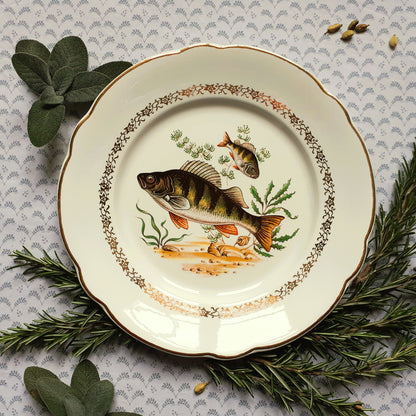 Eight Mix and Match Vintage Fish Plates from Tiggy and Pip - Just €199! Shop now at Tiggy and Pip