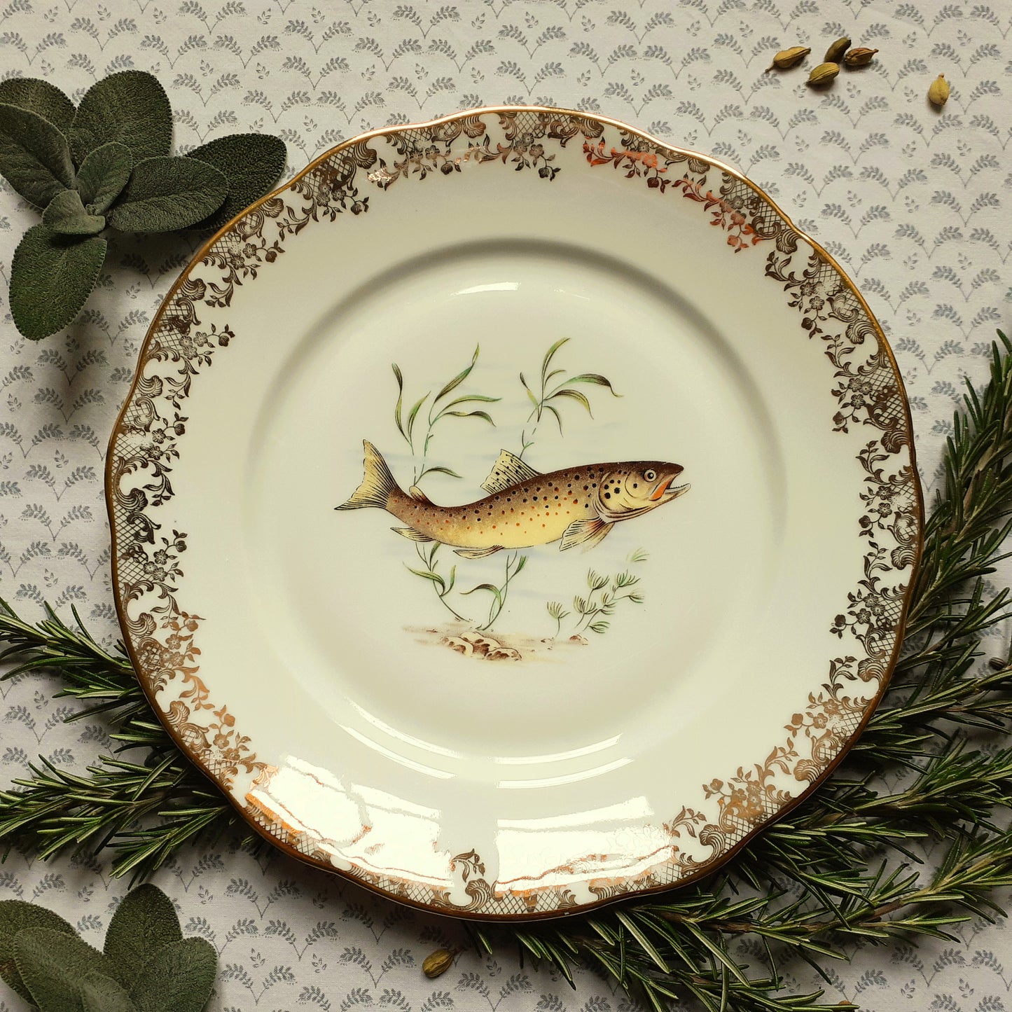 Eight Mix and Match Vintage Fish Plates from Tiggy and Pip - Just €199! Shop now at Tiggy and Pip