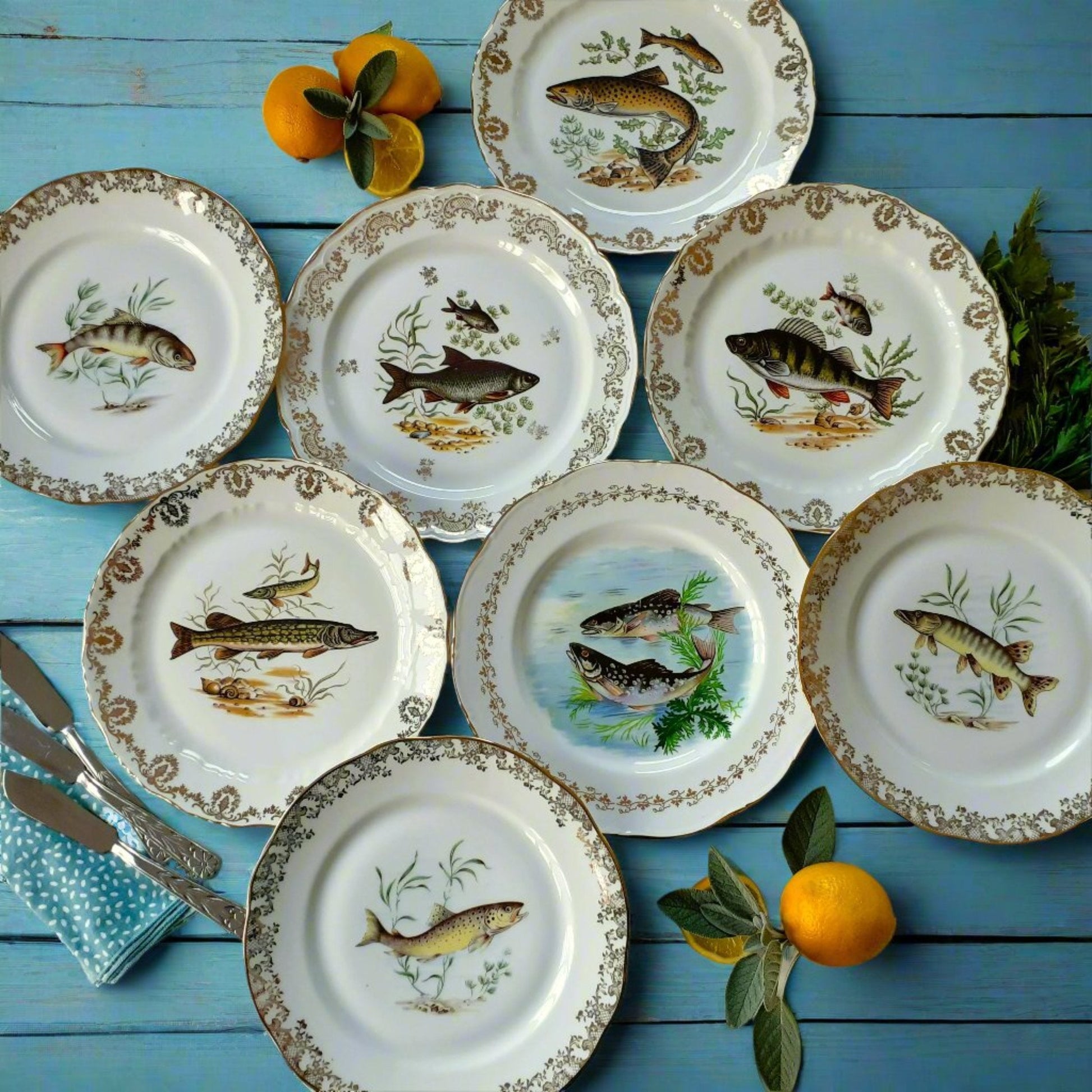 8 Mix and Match Fish Plates from Tiggy & Pip - Just €199! Shop now at Tiggy and Pip