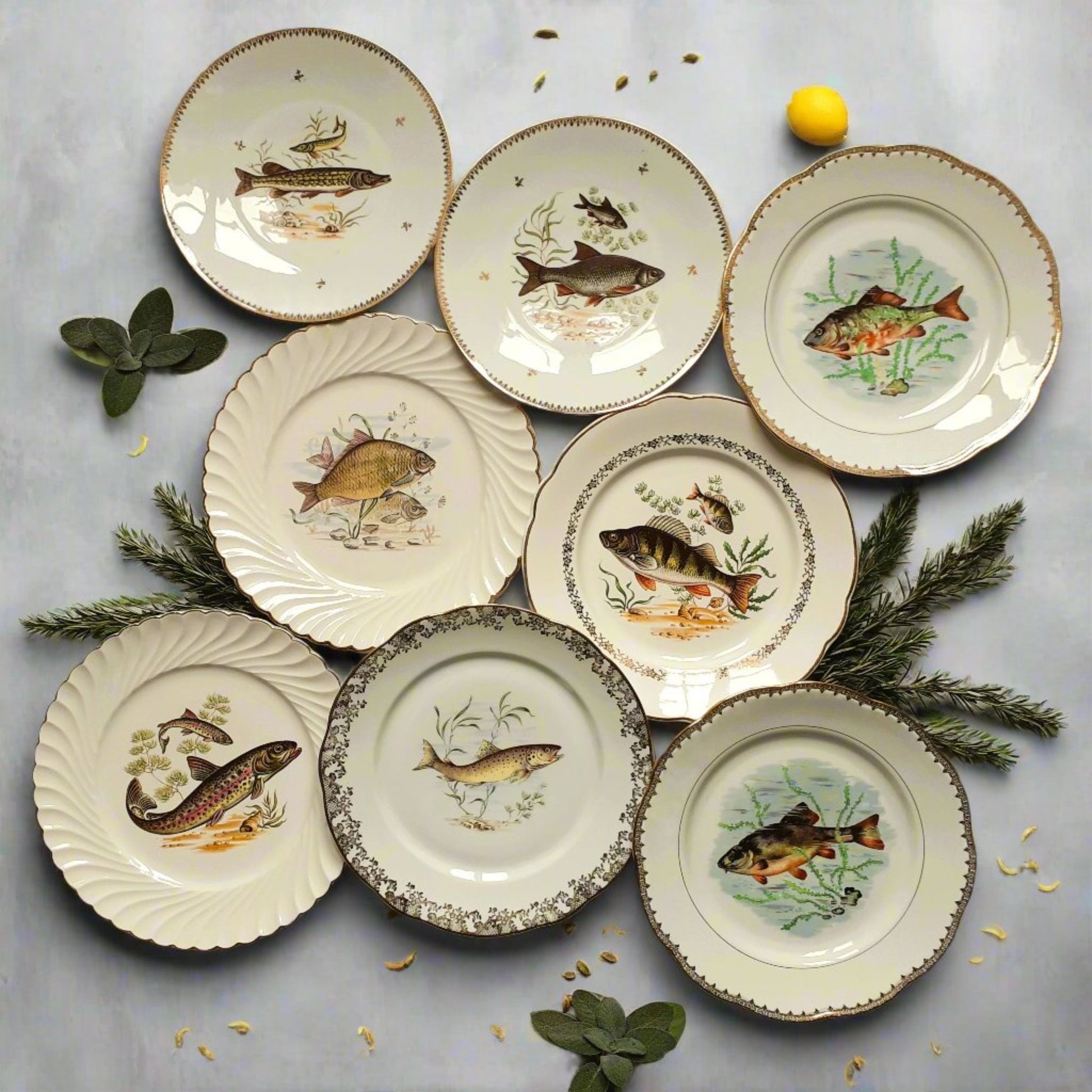 Eight Mix and Match Vintage Fish Plates from Tiggy and Pip - Just €199! Shop now at Tiggy and Pip