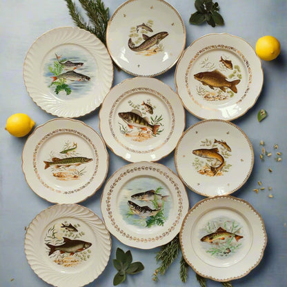 NINE Mix and Match Vintage Fish Plates from Tiggy and Pip - Just €216! Shop now at Tiggy and Pip