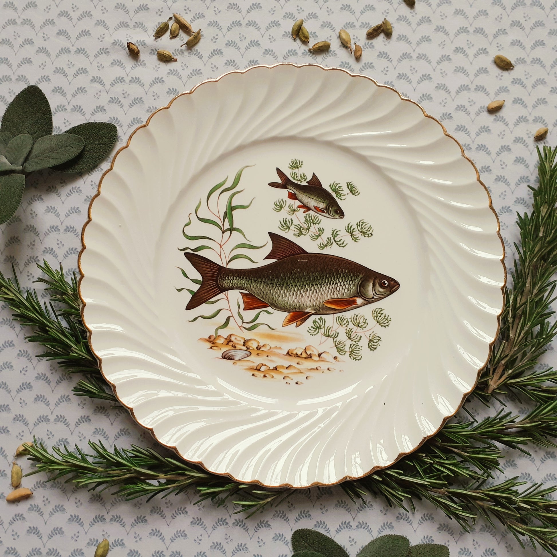 NINE Mix and Match Vintage Fish Plates from Tiggy and Pip - Just €216! Shop now at Tiggy and Pip