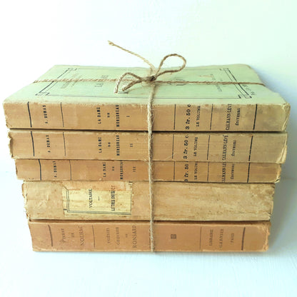 Antique Book Stack of French Classics from Tiggy & Pip - Just €120! Shop now at Tiggy and Pip