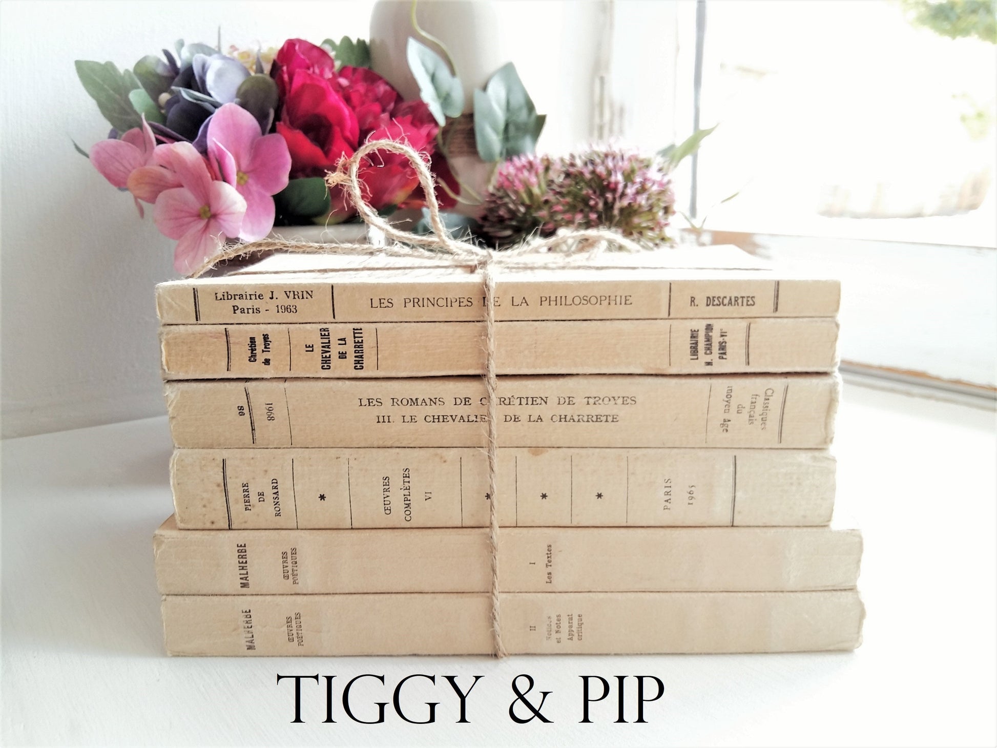 Books by Descartes and Malherbe from Tiggy & Pip - Just €144! Shop now at Tiggy and Pip