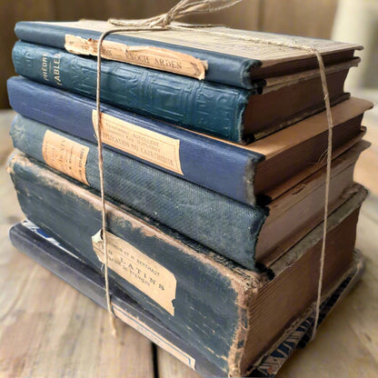 Antique French Inky Book Bundle from Tiggy & Pip - Just €148! Shop now at Tiggy and Pip