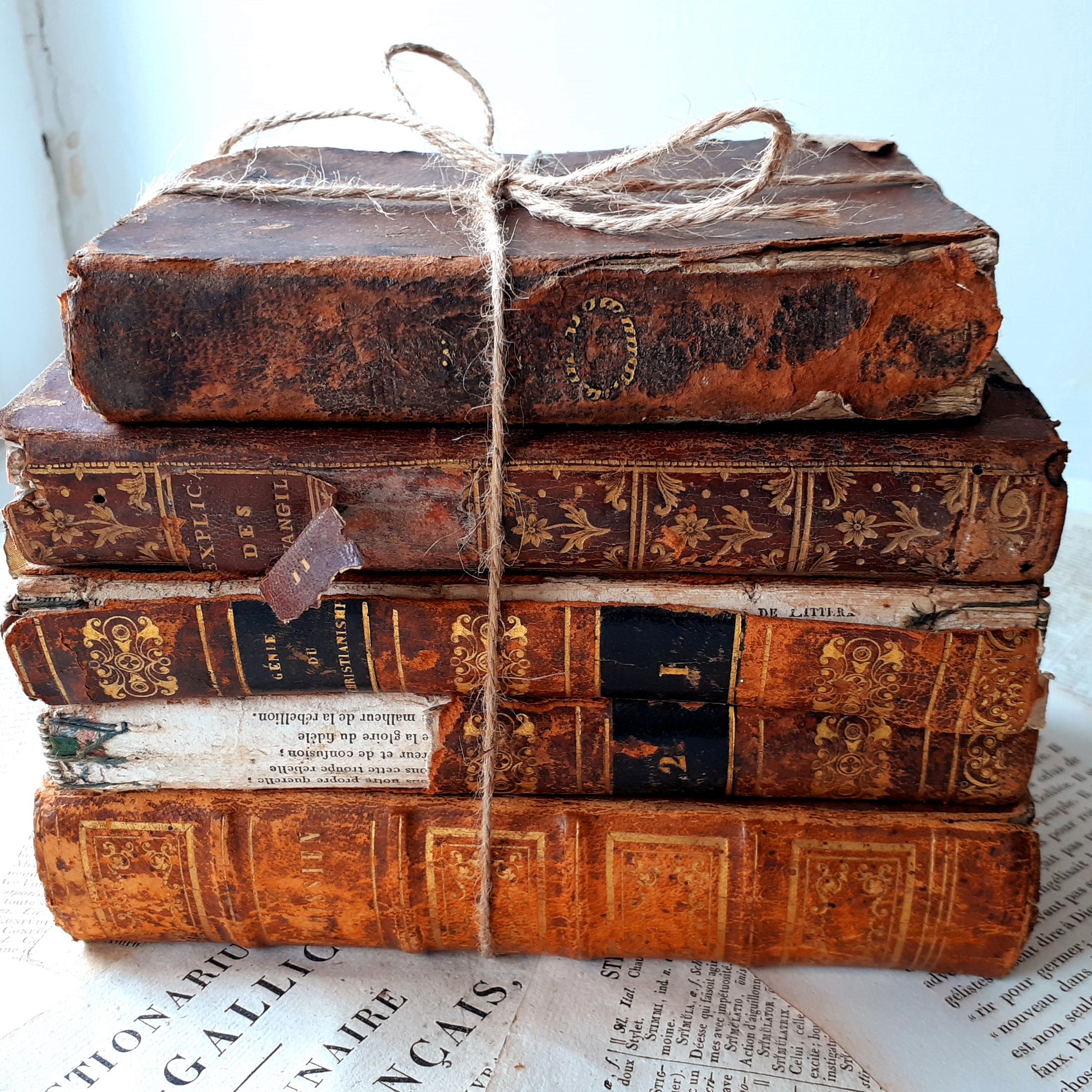 1800s Book Stack of Five Antique Books from Tiggy & Pip - Just €120! Shop now at Tiggy and Pip