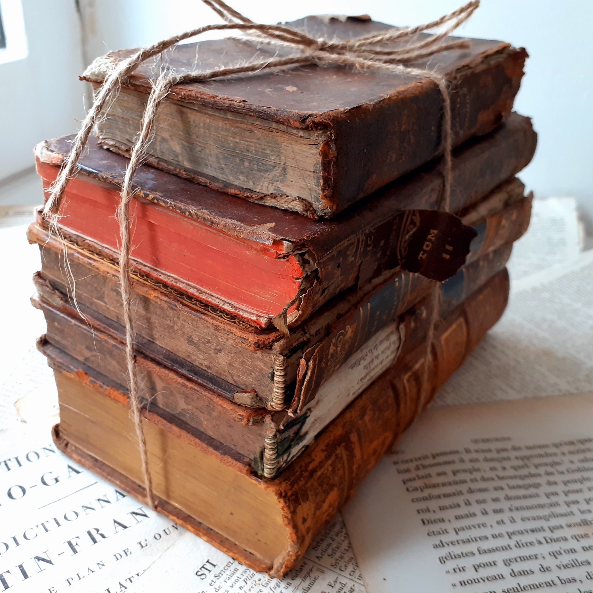 1800s Book Stack of Five Antique Books from Tiggy & Pip - Just €120! Shop now at Tiggy and Pip