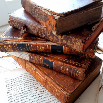 1800s Book Stack of Five Antique Books from Tiggy & Pip - Just €120! Shop now at Tiggy and Pip