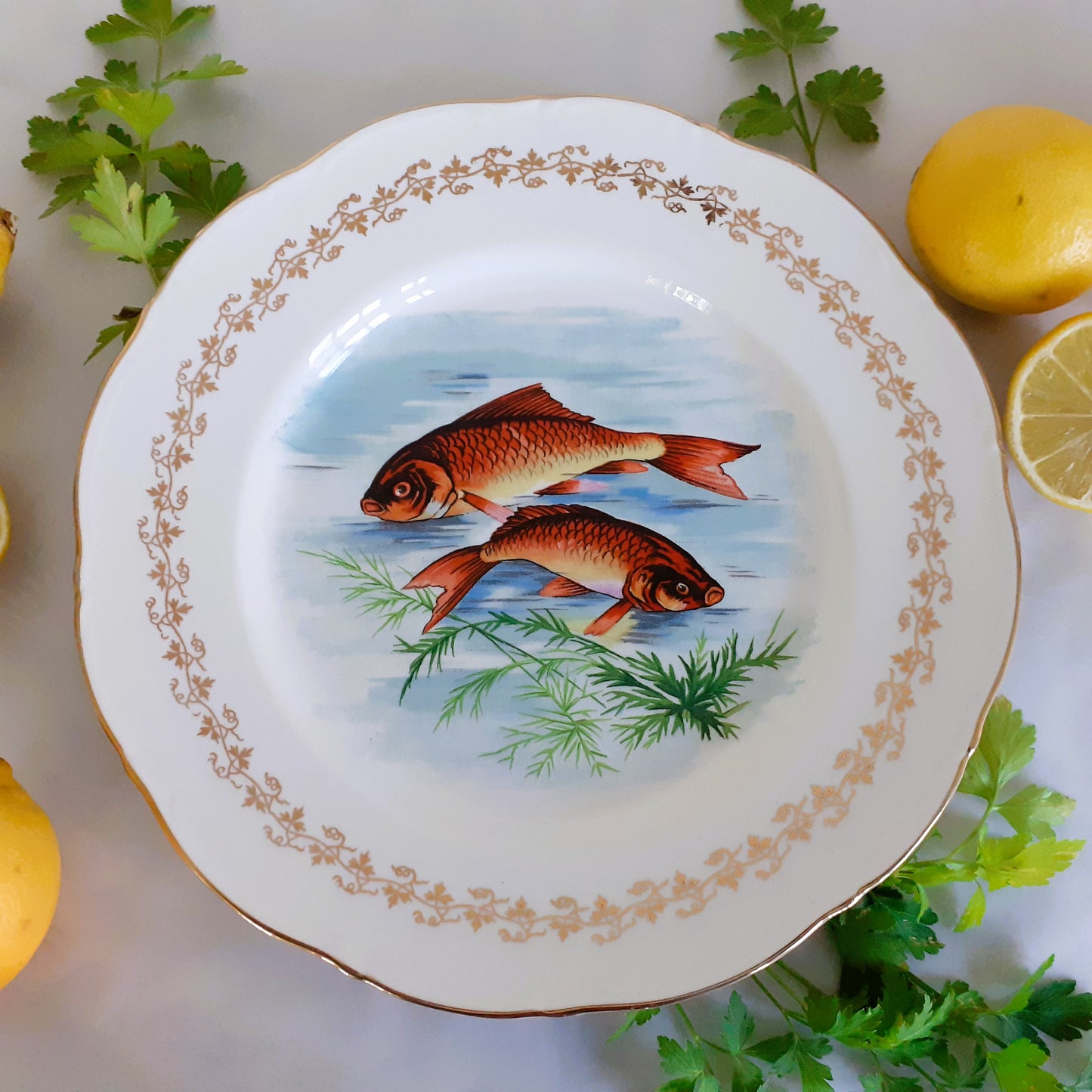 Six 1960s, French, Digoin Porcelain, Fish Plates from Tiggy & Pip - Just €168! Shop now at Tiggy and Pip