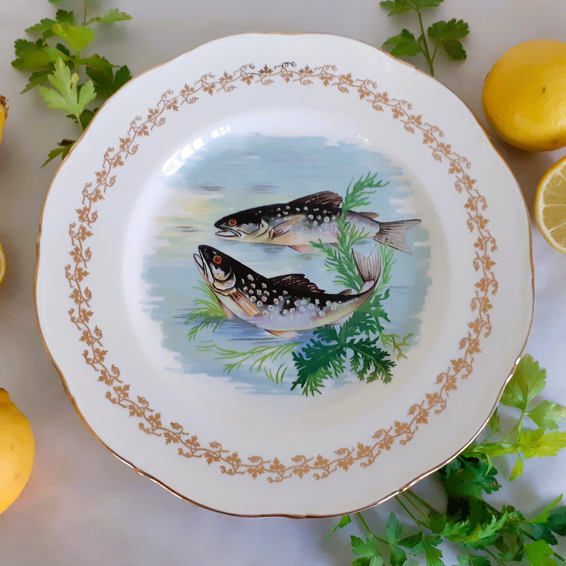 Six 1960s, French, Digoin Porcelain, Fish Plates from Tiggy & Pip - Just €168! Shop now at Tiggy and Pip