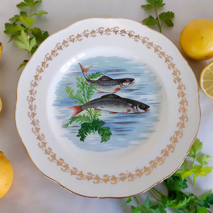 Six 1960s, French, Digoin Porcelain, Fish Plates from Tiggy & Pip - Just €168! Shop now at Tiggy and Pip