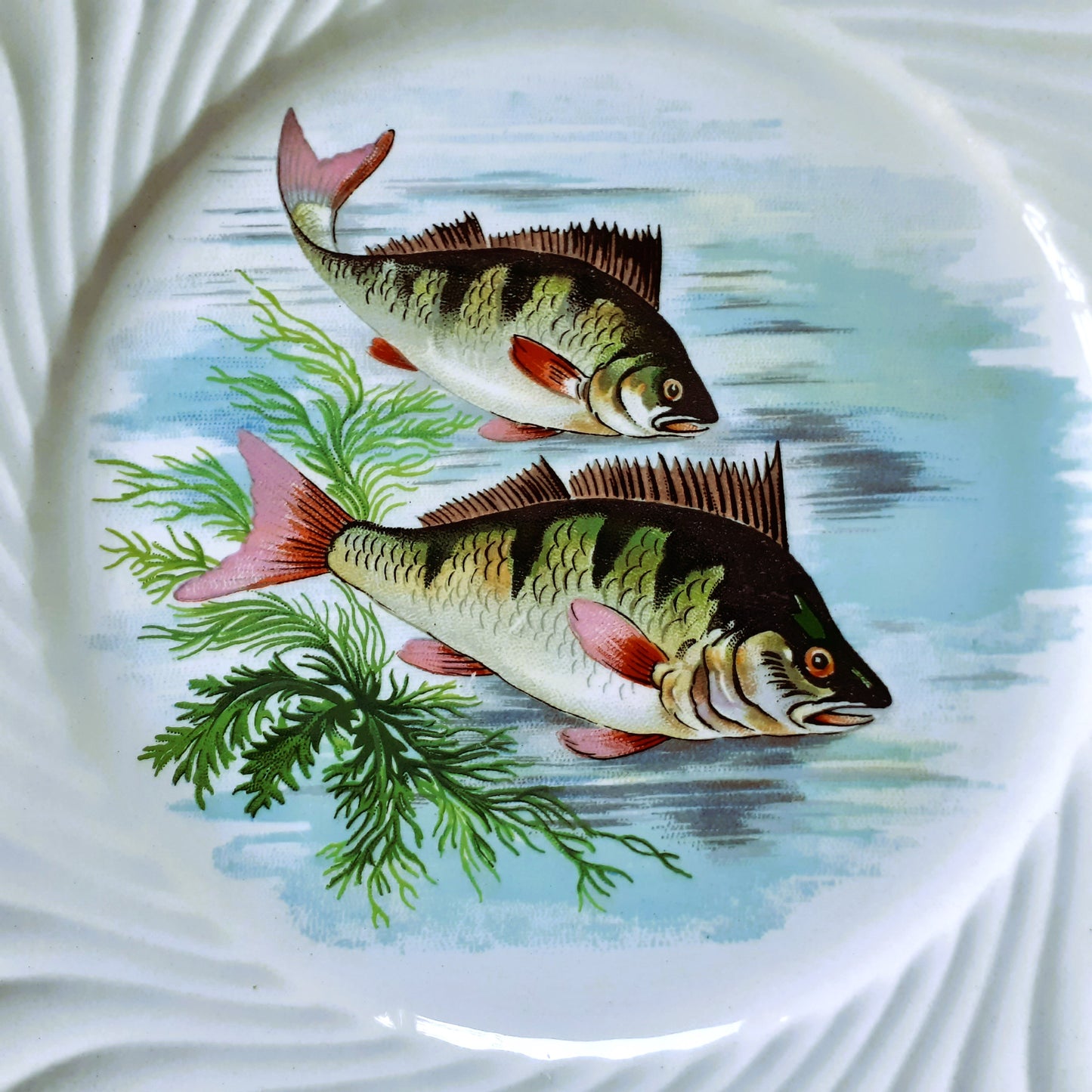 Eight 1950s French Fish Plates from Tiggy & Pip - Just €199! Shop now at Tiggy and Pip