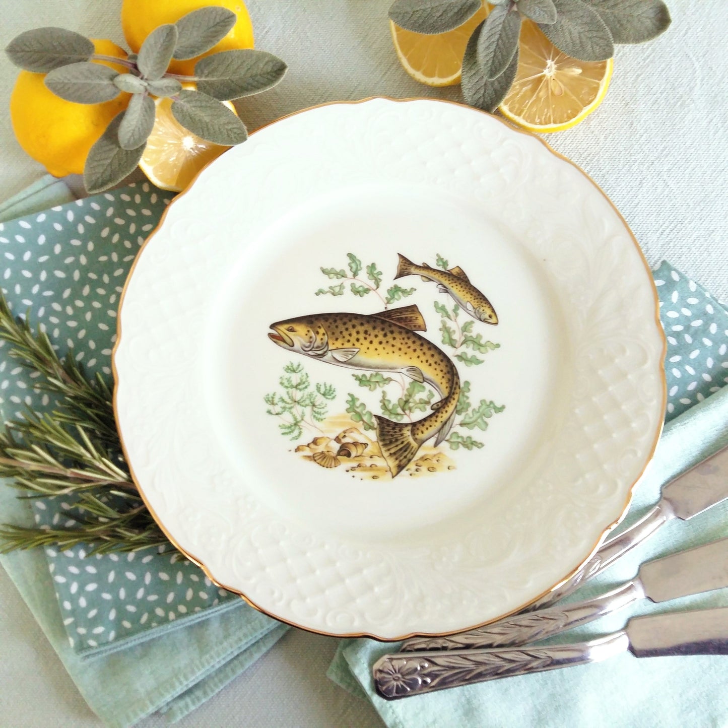 Fish Plate Set. Six Fish Plates from Tiggy & Pip - Just €168! Shop now at Tiggy and Pip