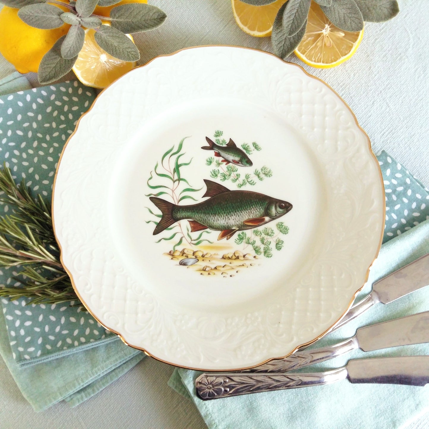 Fish Plate Set. Six Fish Plates from Tiggy & Pip - Just €168! Shop now at Tiggy and Pip