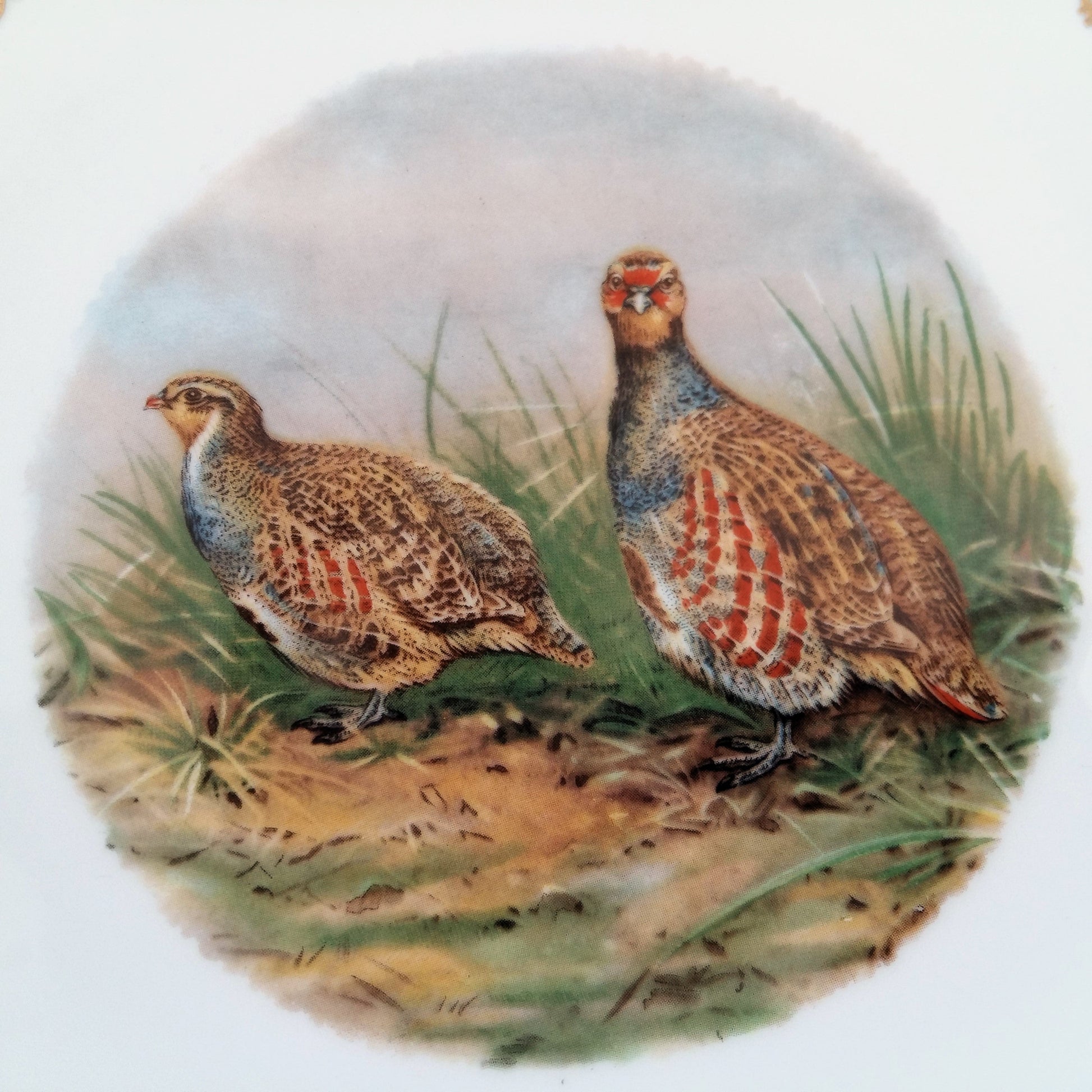 Four Game Bird Plates. Limoges Porcelain from Tiggy & Pip - Just €112! Shop now at Tiggy and Pip