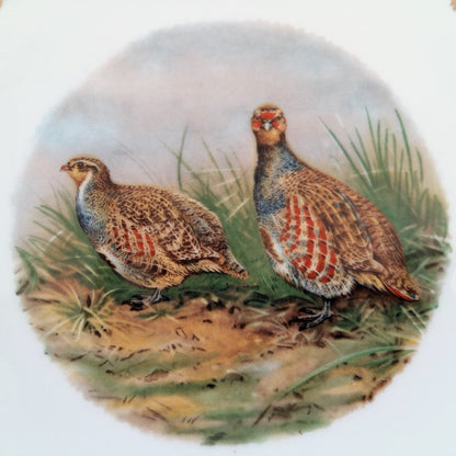 Four Game Bird Plates. Limoges Porcelain from Tiggy & Pip - Just €112! Shop now at Tiggy and Pip