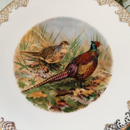 Four Game Bird Plates. Limoges Porcelain from Tiggy & Pip - Just €320! Shop now at Tiggy and Pip