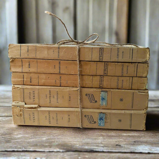 Antique Book Stack of French Literature from Tiggy & Pip - Just €120! Shop now at Tiggy and Pip