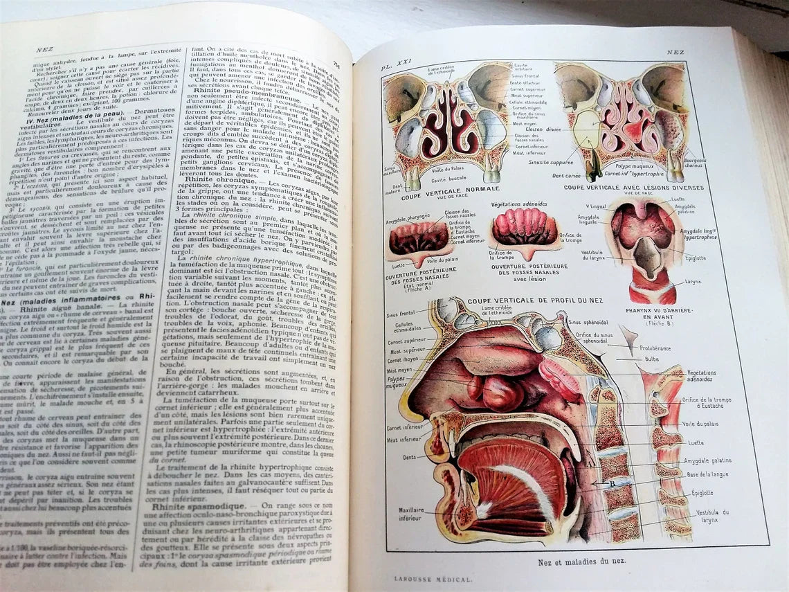 Medical Dictionary. 1923 Larousse Médical Illustré from Tiggy & Pip - Just €129! Shop now at Tiggy and Pip