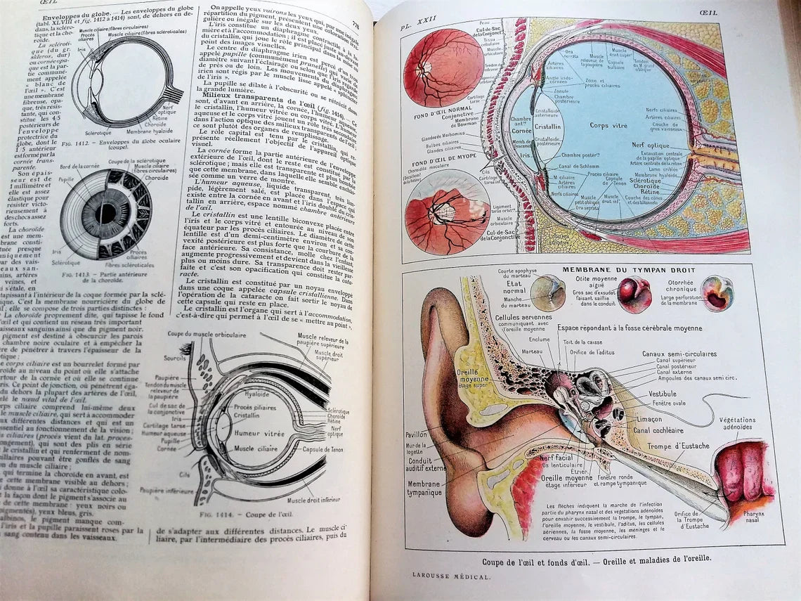 Medical Dictionary. 1923 Larousse Médical Illustré from Tiggy & Pip - Just €129! Shop now at Tiggy and Pip