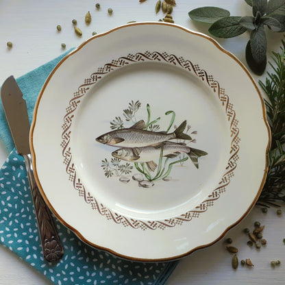 Set of Six 1950s Fish Plates from Tiggy & Pip - Just €156! Shop now at Tiggy and Pip