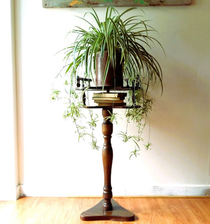 Wooden Pedestal Plant Stand with Shelf from Tiggy & Pip - Just €220! Shop now at Tiggy and Pip