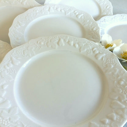 SIX White Limoges Porcelain Dinner Plates from Tiggy & Pip - Just €168! Shop now at Tiggy and Pip