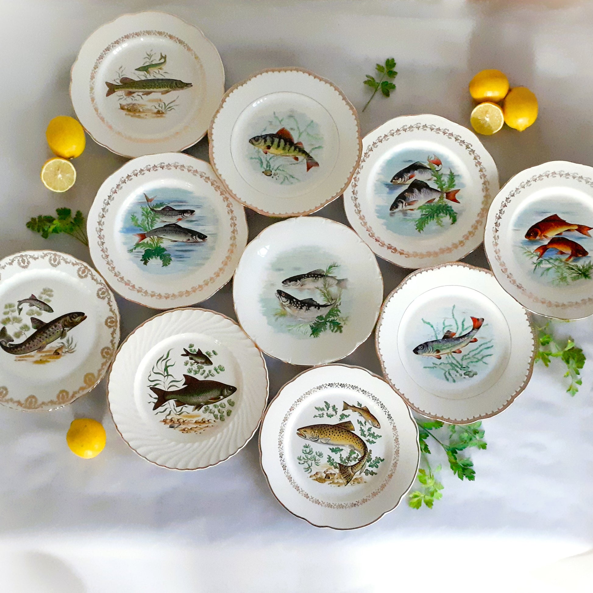 TEN Mix and Match Vintage Fish Plates from Tiggy and Pip - Just €240! Shop now at Tiggy and Pip