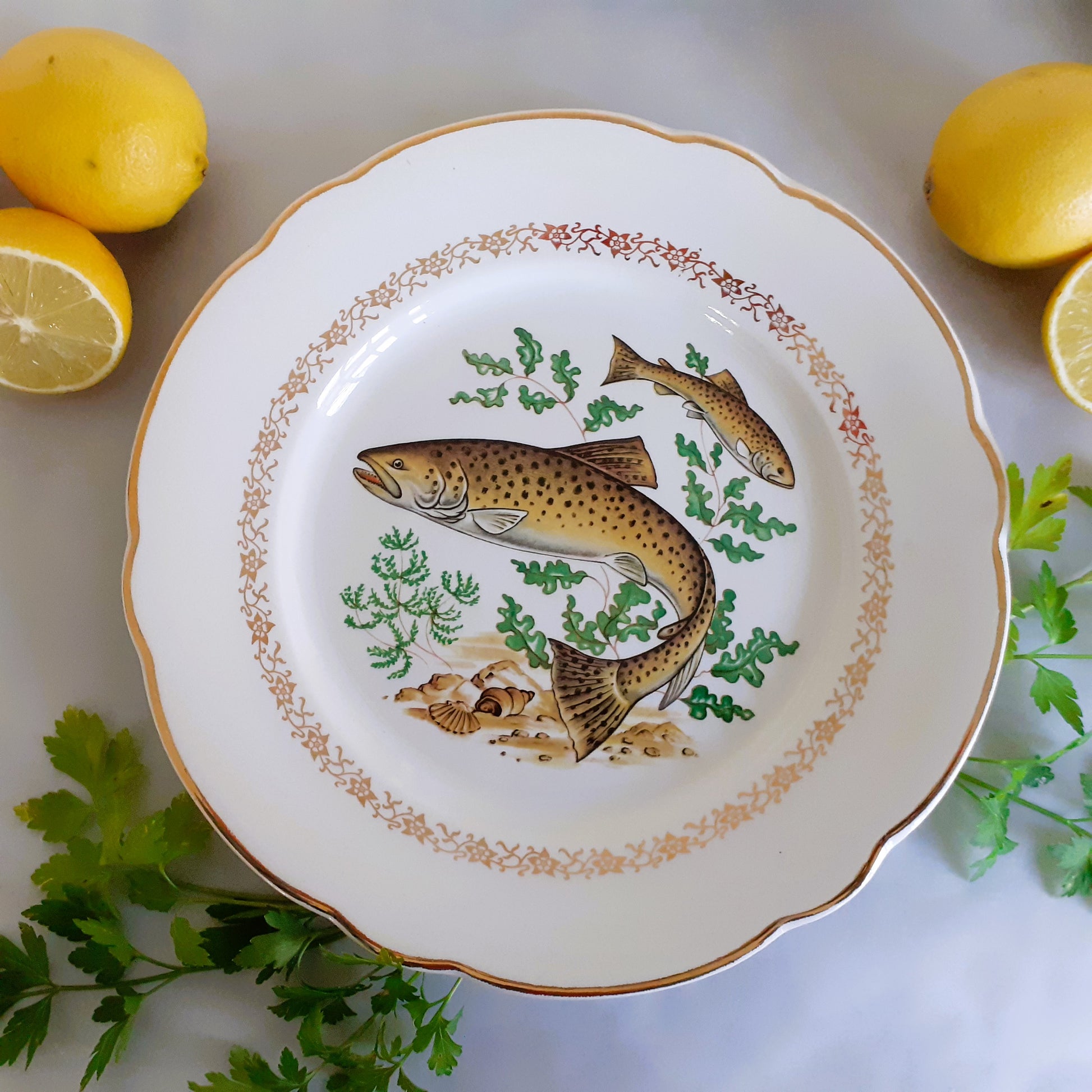 TEN Mix and Match Vintage Fish Plates from Tiggy and Pip - Just €240! Shop now at Tiggy and Pip