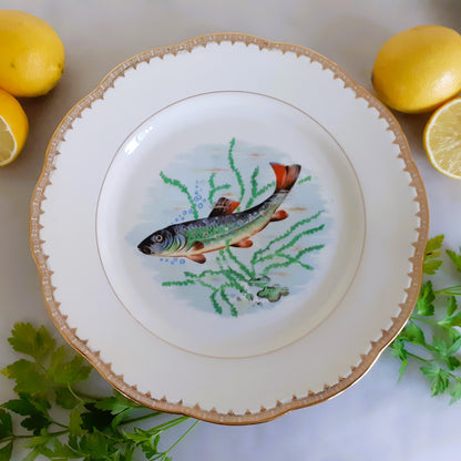 TEN Mix and Match Vintage Fish Plates from Tiggy and Pip - Just €240! Shop now at Tiggy and Pip