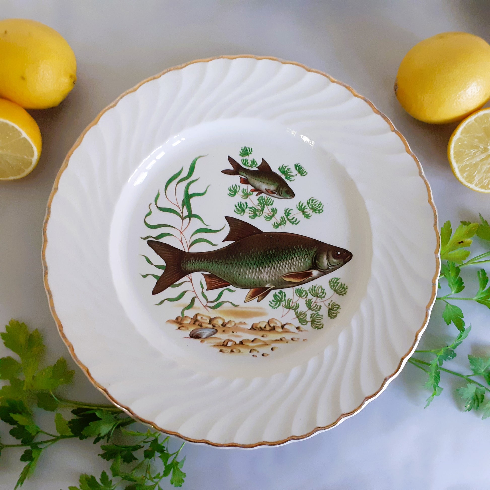 TEN Mix and Match Vintage Fish Plates from Tiggy and Pip - Just €240! Shop now at Tiggy and Pip